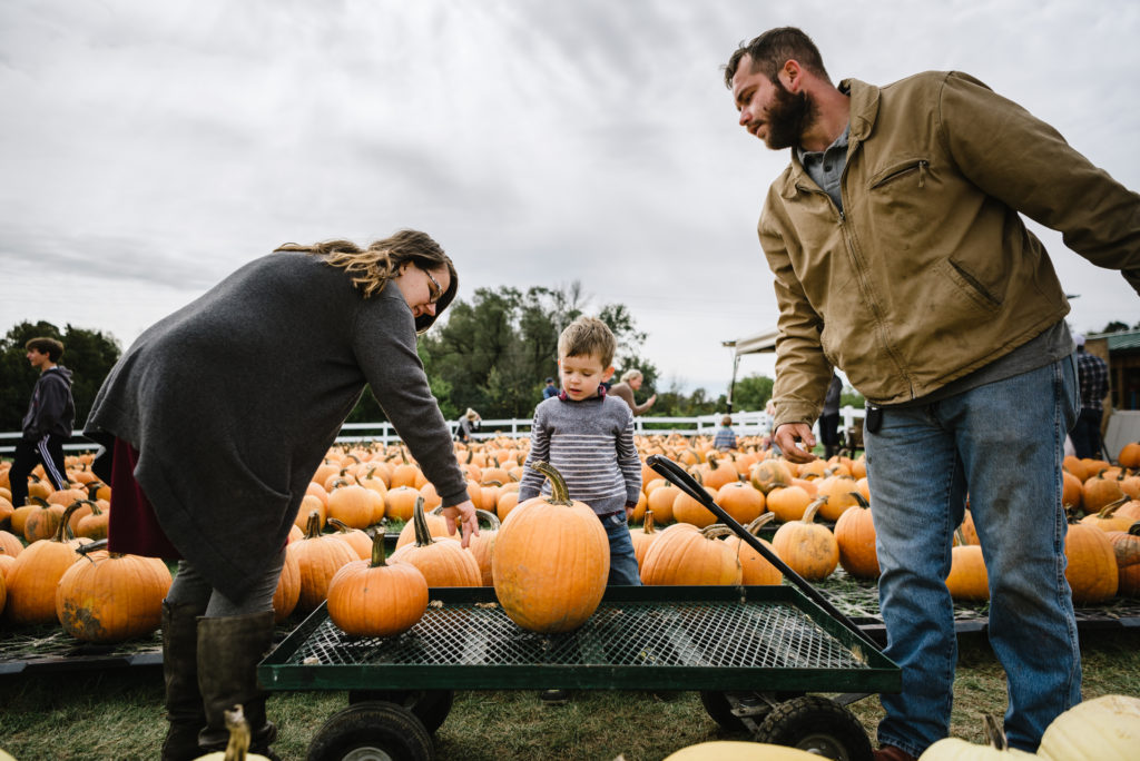 family picking out pumpkins in fall 2020